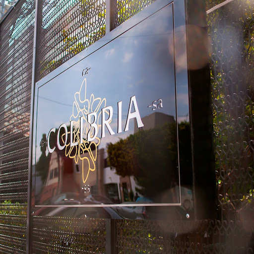 Colibria - Visual