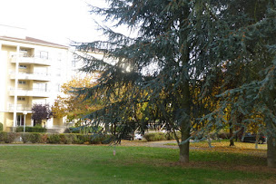 Photo n°11 de Appartement gite Anne de Méjanes à Metz (Appartement de vacances)