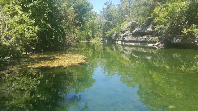 Jacob's Well Natural Area