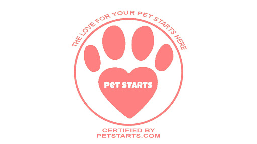 Pet Starts - Visual