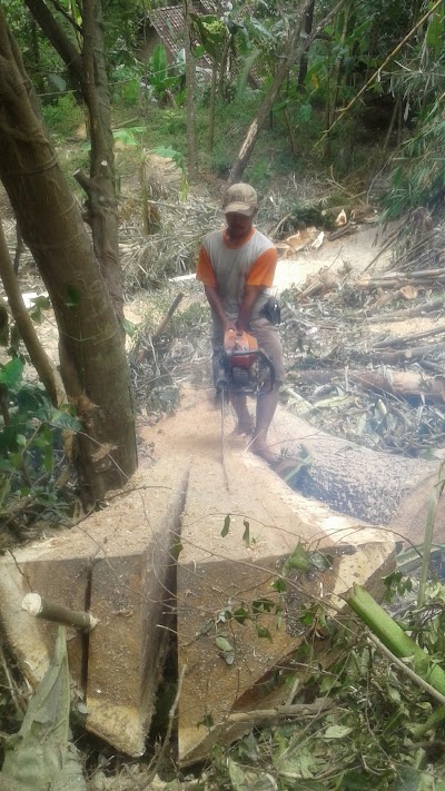 Photos of Gunung Mujil