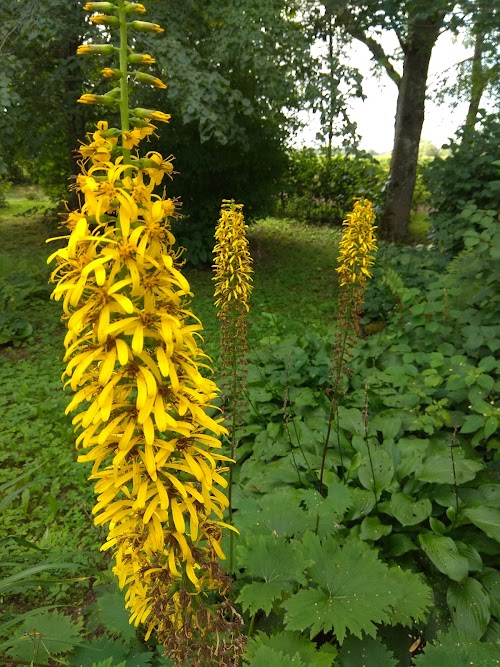 Ievērojamu vietu apskate