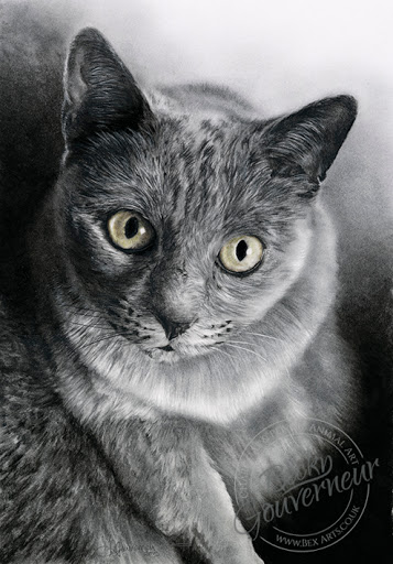 Bex Arts - Visual