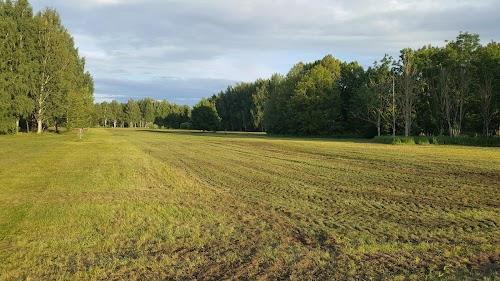 Tartu Dendro Disc Golf Course