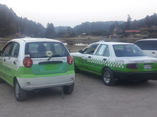 Radio Taxi Servicios Pachuca - Thumbnail