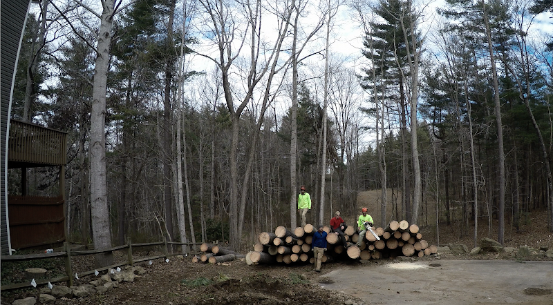 Woodworks Tree Service, LLC