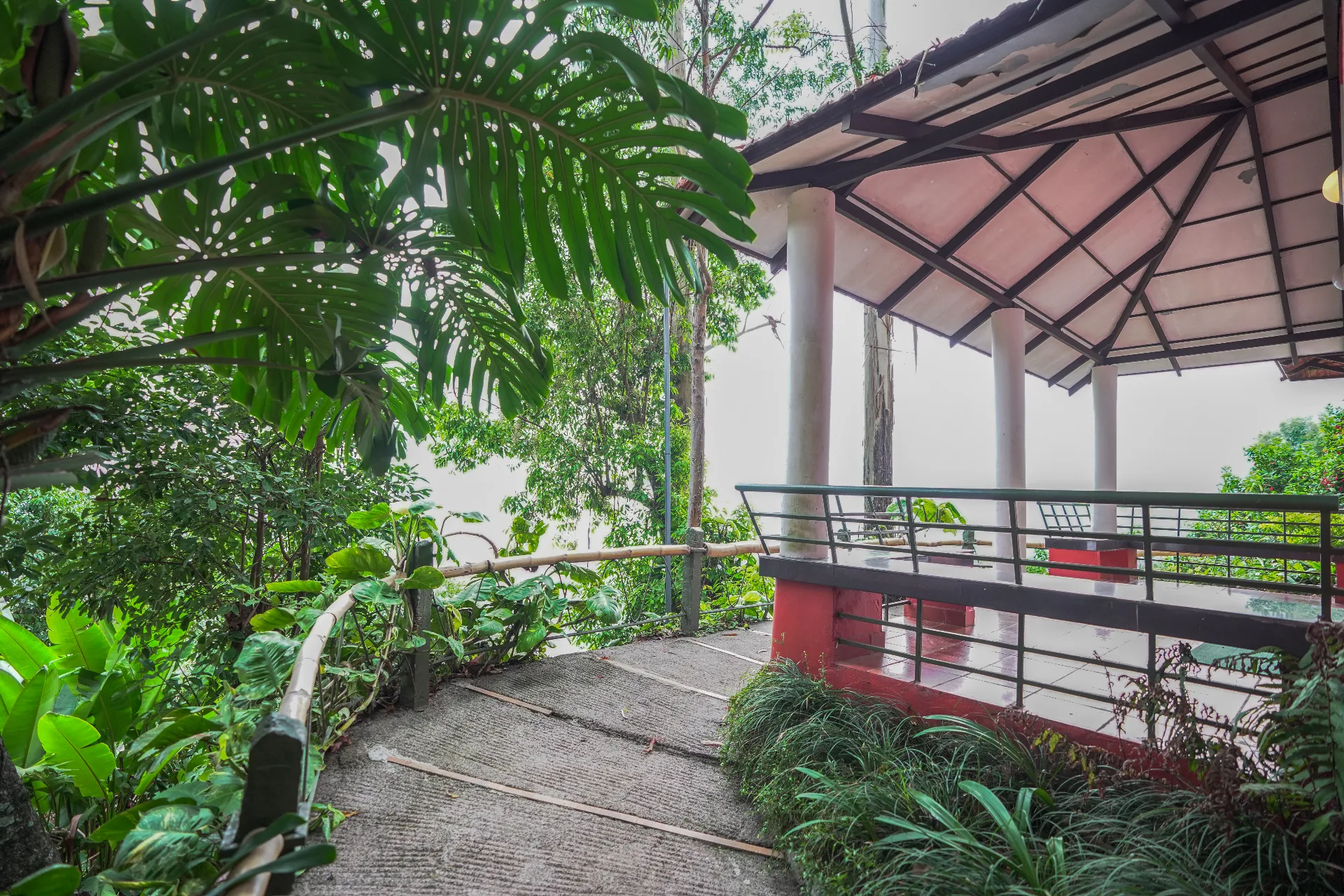 Tea Valley Resort