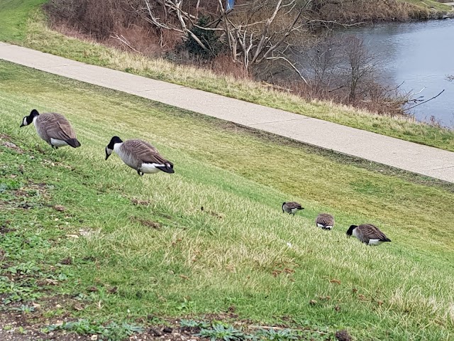 Walthamstow Wetlands