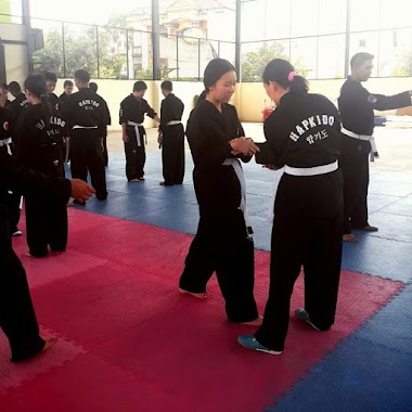 Hapkido dojang-swallow MIRACLE WONDERFUL PIK, Author: Don Bosco