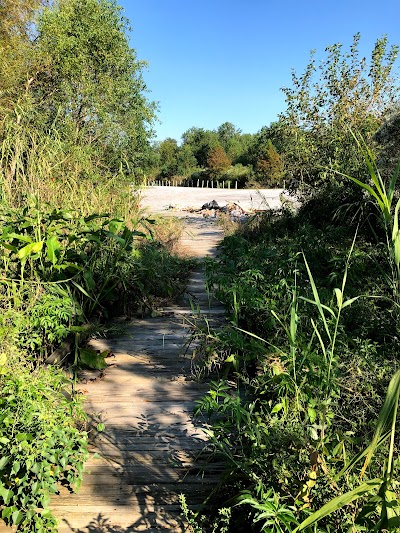 Madere Marsh Boardwalk