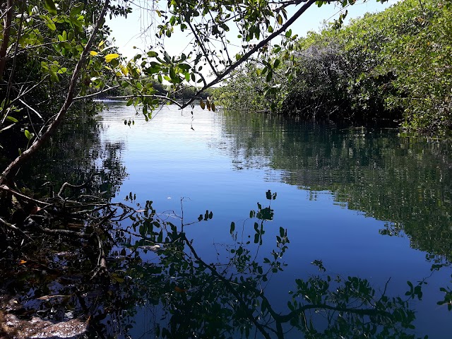 Cenote Encantado-1320