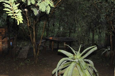 Photos of Kruger Inn Backpackers