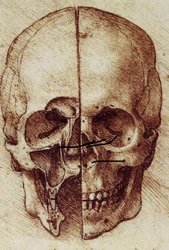 Albany Oral Maxillofacial Surgery Group