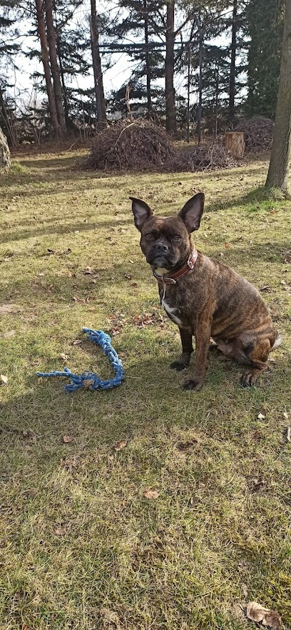 Gabinet Weterynaryjny Batorego 14. Bartosz & Piotr Czubek