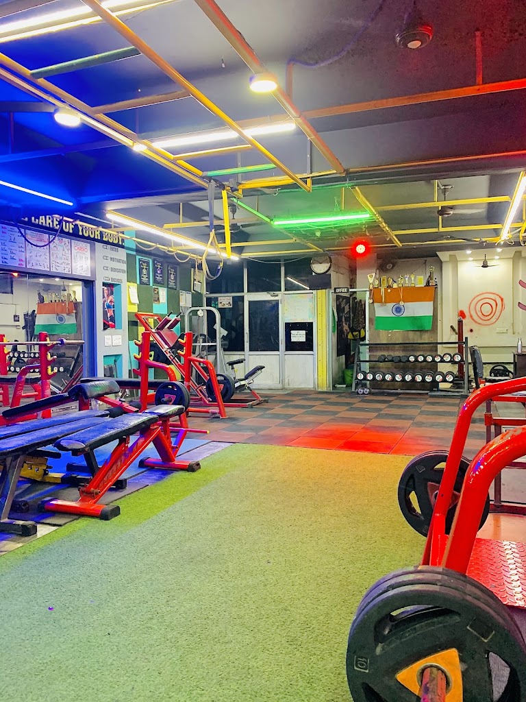 Stepper Unisex Gym Dance Studio