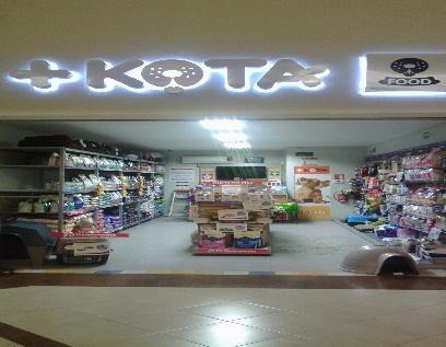 +Kota Food Lindavista Monterrey