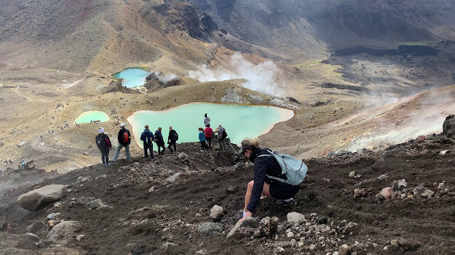 Reviews of Tongariro Alpine Crossing in Palmerston North - Other