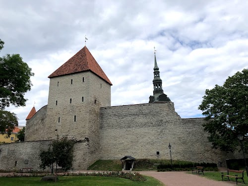 Vabadussõja võidusammas