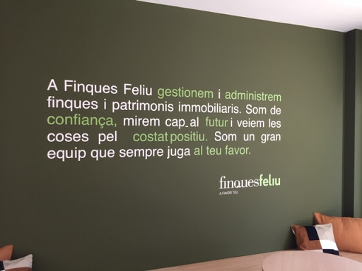 Feliu real estate - Thumbnail