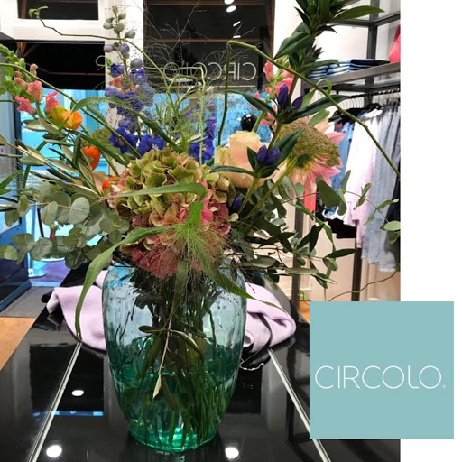 Circolo - Visual