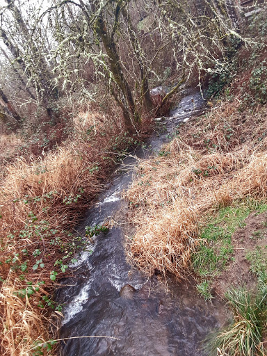 Campen Creek Park - Thumbnail