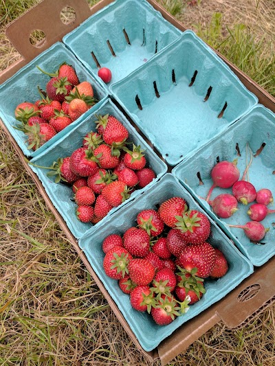 Photos of Johnson's Corner Farm