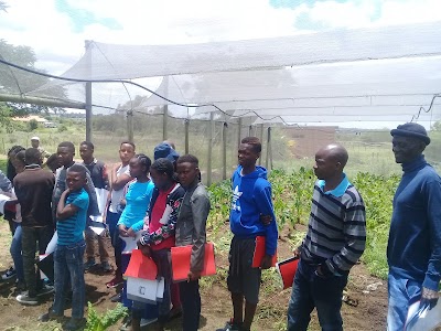 Photos of Vastfontein Community Transformation