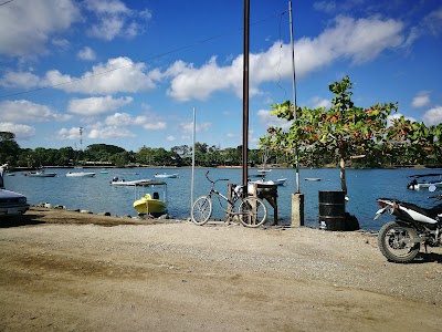Photos of Changing Tide Tours