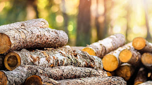 Photo n°1 de BOIS DU TRONCHET à Saint-Sauveur-Marville (Magasin de bois de chauffage)