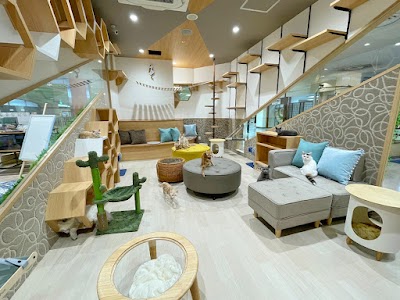 猫カフェ 空陸家 シーモール下関店