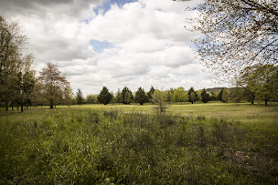 Photo n°9 de Clinique Château du Tremblay - Ramsay Santé à Chaulgnes (Psychiatre)
