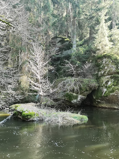 Waldnaab Uferpfad Wanderparkplatz - Thumbnail