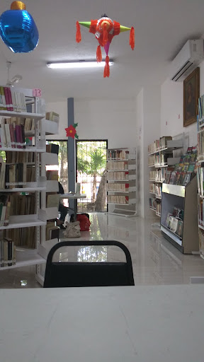 Biblioteca Municipal Leona Vicario - Thumbnail