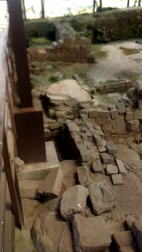 Termas Romanas do Alto da Cividade Horário de abertura