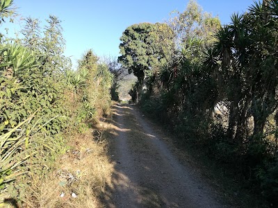 Photos of Parque de los mixcos