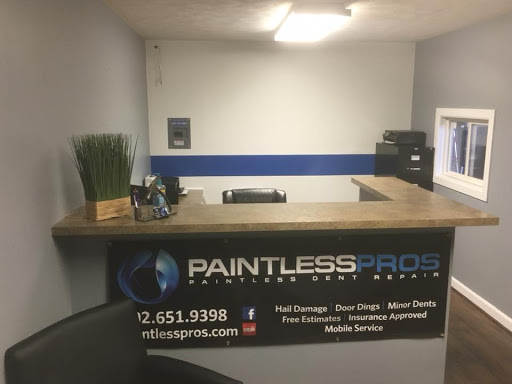 Paintless Pros - Thumbnail