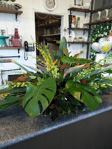 Boulevarde Toronto Florist newcastle