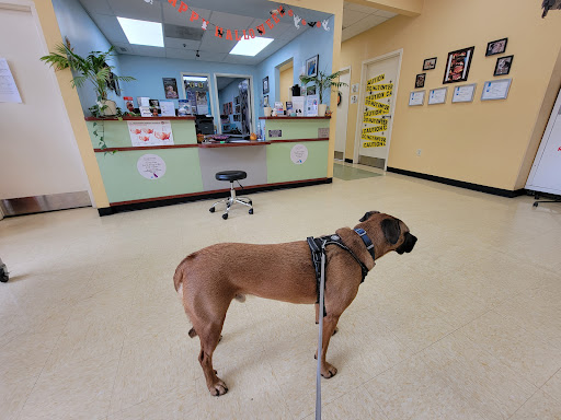 Swan Harbor Animal Hospital - Thumbnail