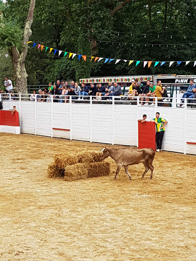 Arènes à Bégaar