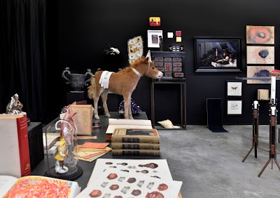 Photos of Galerie Schoots + Van Duyse