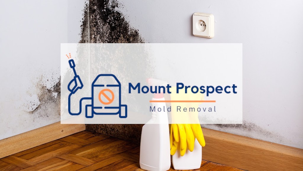 Mount Prospect Mold Removal photo