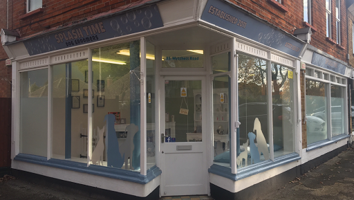 Splash Time Dog Groomers