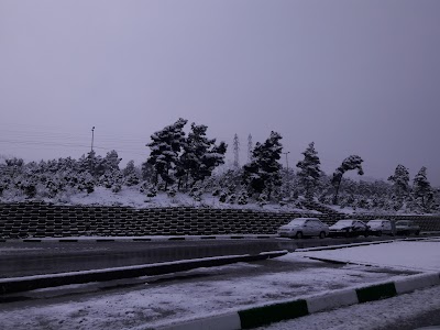 Photos of بوستان جنگلی لویزان