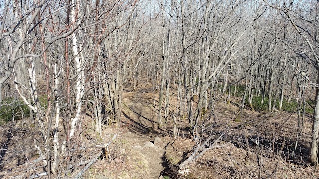 Mountain Trail Ouareau (National Trail)