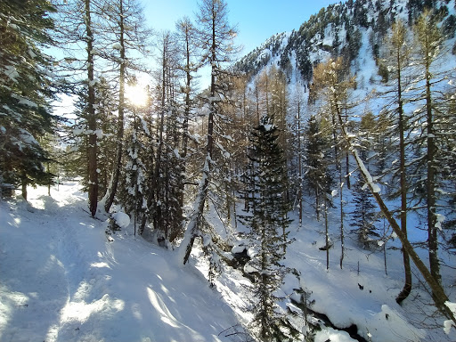Livigno Italy - Thumbnail