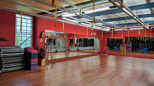 ABfitness Sculture Gallery - Spain