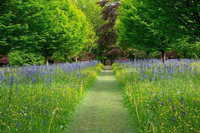 Highgrove Royal Gardens