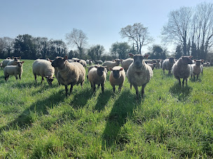 Photo n°1 de SCEA La ferme du Valobio à Tréauville (Ferme)