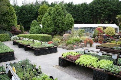 Photos of Liscahane Nursery and Garden Centre