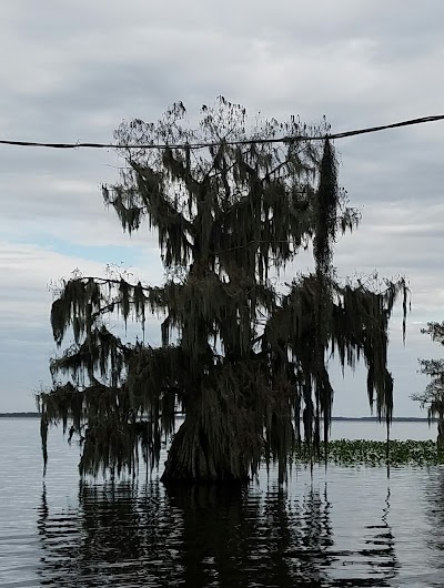 Photos of Cypress Isle RV Park & Marina